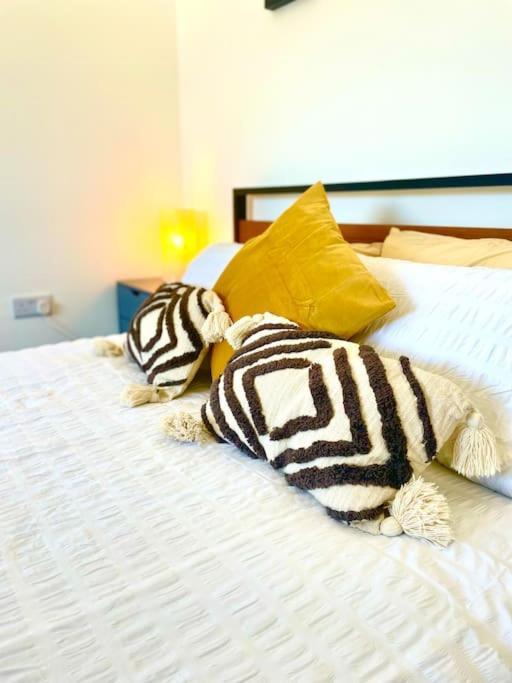Modern Chic Summer Holiday Retreat. New Quay Eksteriør billede