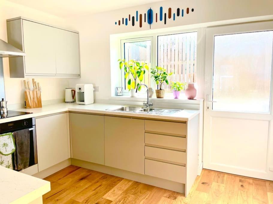 Modern Chic Summer Holiday Retreat. New Quay Eksteriør billede